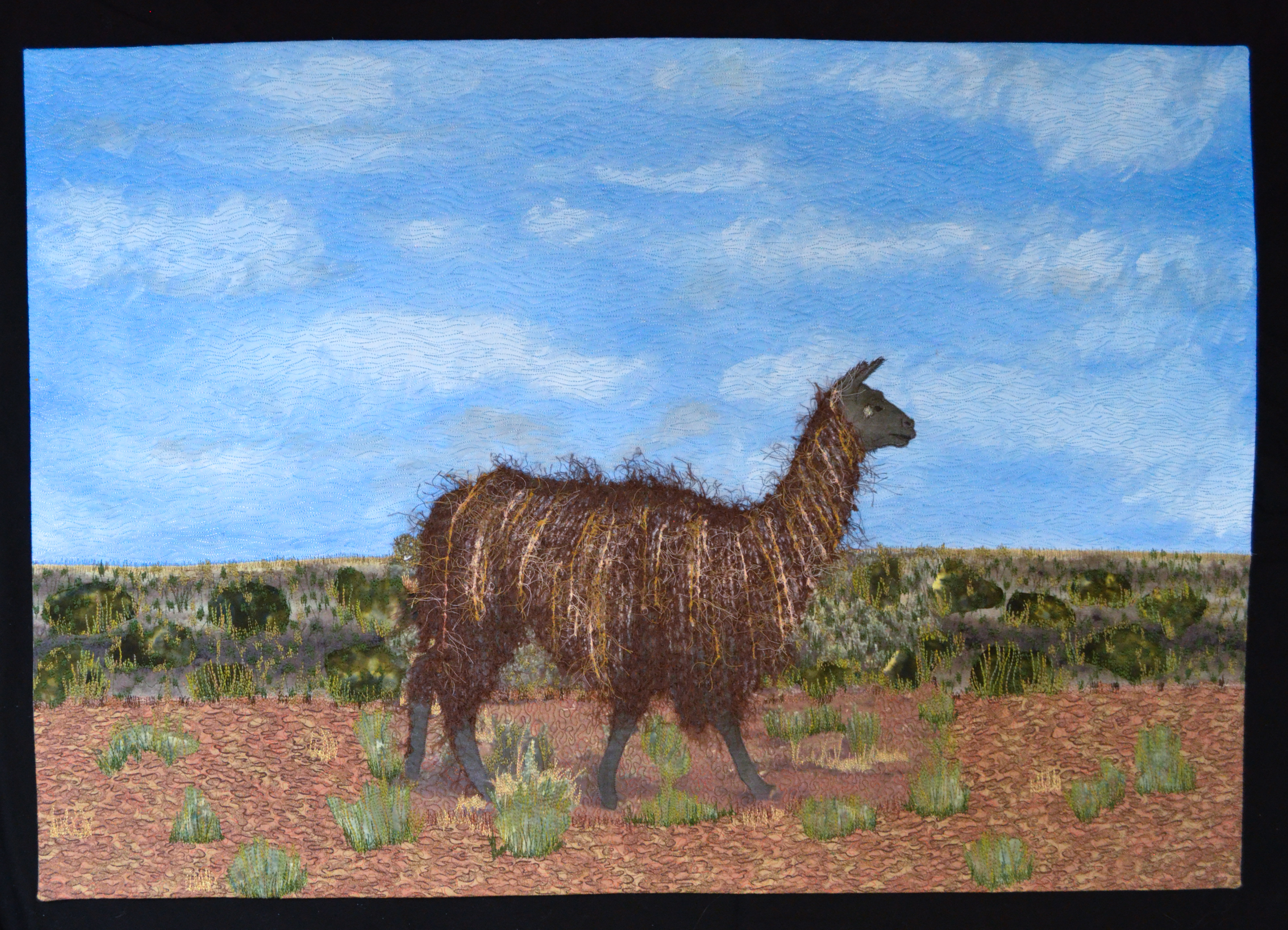 perry_jenny_chaco_canyon_llama_1